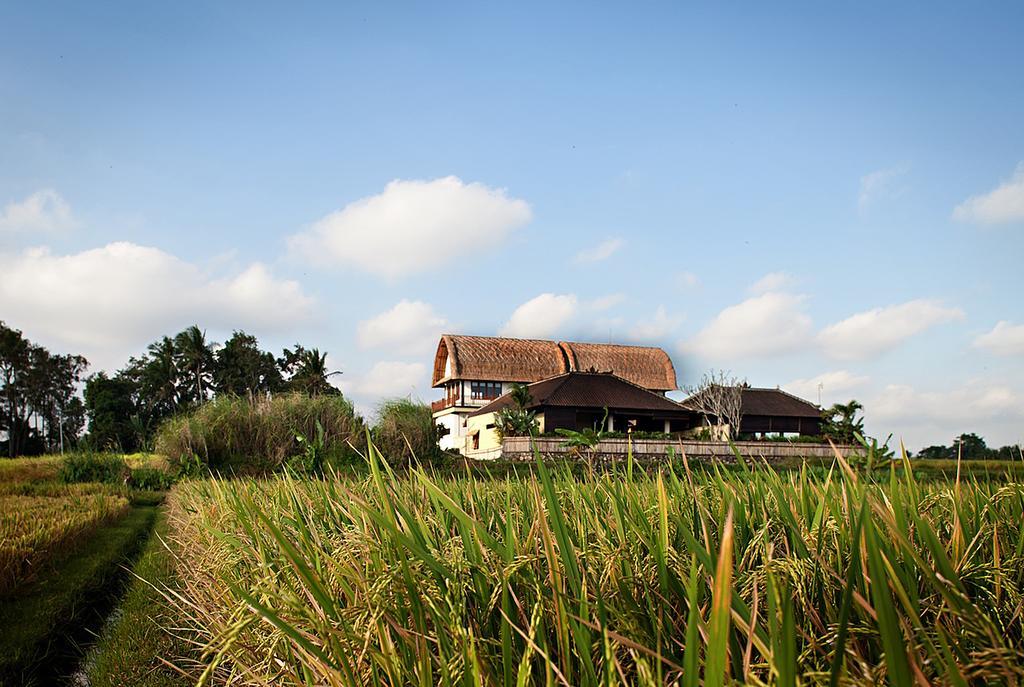 Kubu Kedungu Villas Tanah Lot Extérieur photo